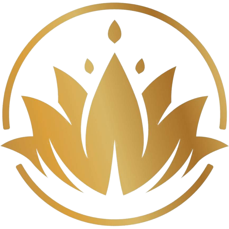 logo kimtamcat